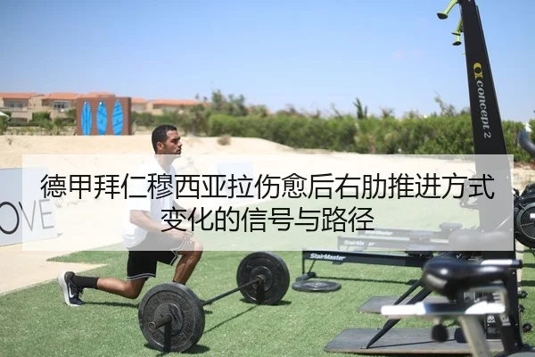 de-jia-bai-ren-mu-xi-ya-la-shang-yu-hou-you-le-tui-jin-fang-shi-bian-hua-de-xin-hao-yu-lu-jing-2-249.jpg