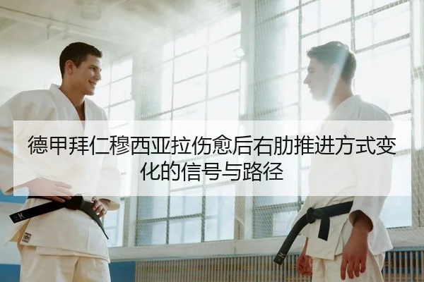 德甲拜仁穆西亚拉伤愈后右肋推进方式变化的信号与路径